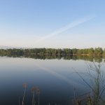 Königsfischen 2014
